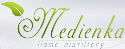 Logo Medienka